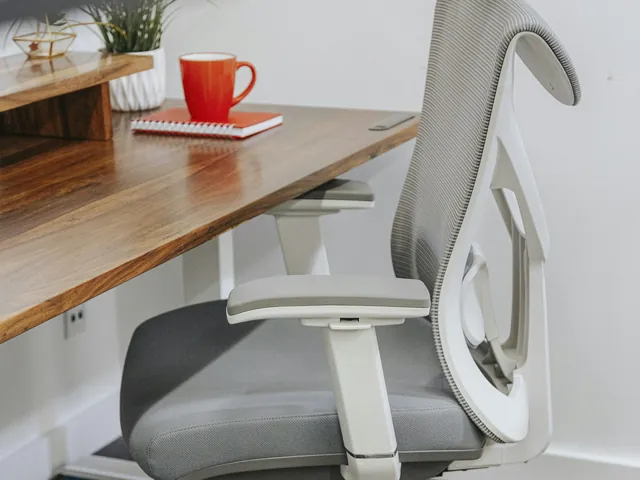 Ergonomic Chairs